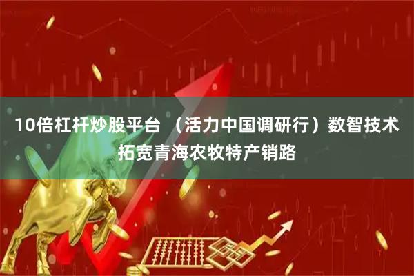 10倍杠杆炒股平台 （活力中国调研行）数智技术拓宽青海农牧特产销路